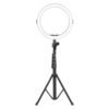 Ring Light with Tripod Stand DRL 12C Professional 10-Inch LED
