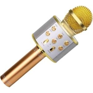 WS-858 Wireless Handheld Bluetooth Mic with Speaker
