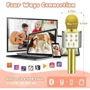 WS-858 Wireless Handheld Bluetooth Mic with Speaker