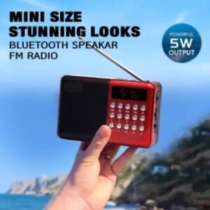RM BT-497 Wireless Bluetooth Speaker