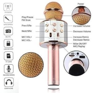 WS-858 Wireless Handheld Bluetooth Mic with Speaker